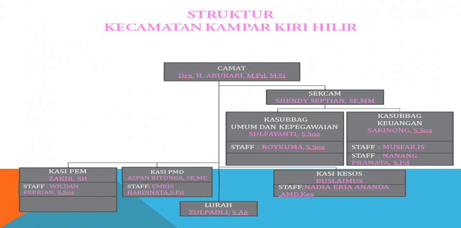 Struktur Organisasi